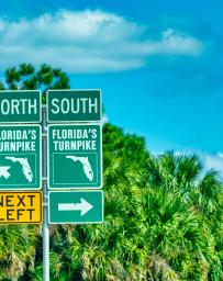 Florida Turnpike North and South signs with palm trees and blue sky background
