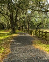 Path in Crestview, Florida