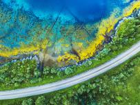 arial view of a road through trees beside tropical water