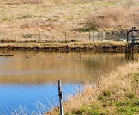 Landfill pond