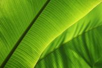 Foreseeable Resilience & Sustainability