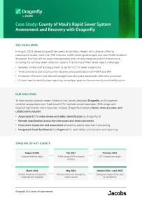 Case study preview