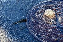 Flood Waters Well Up 