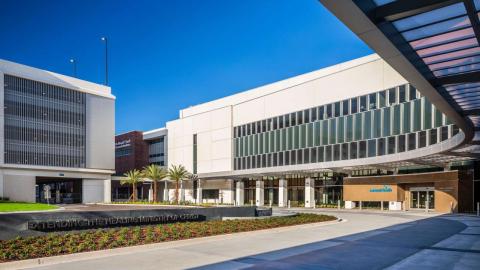 AdventHealth Tampa Outside of Building2