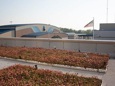 Rooftop rain garden