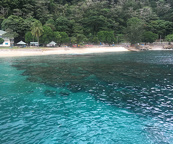 Surrounded by a spectacular tropical reef that plunges into the ocean’s deepest point, Christmas Island is home to just over 2,000 residents, most of whom live on the island’s northern tip