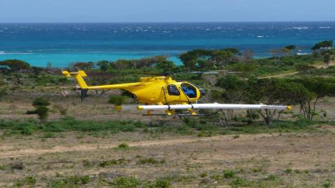 Vieques Island, Puerto Rico