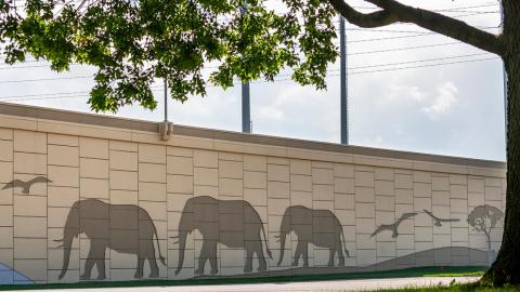 Zoo Interchange elephant wall