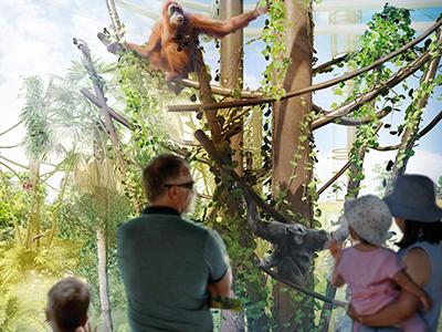 Rendering of high canopy exhibit - people looking at orangutans