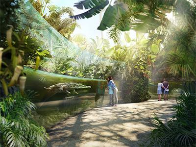 Rendering of swamp forest habitat at Auckland Zoo