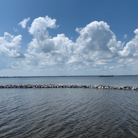 East Bay Oyster Habitat