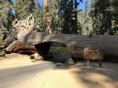 Federal Highways Association, Western Federal Lands Highways Division pavement preservation project at Sequoia National Park