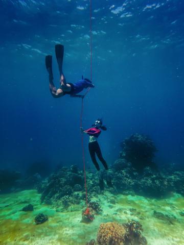 Two free divers underwater