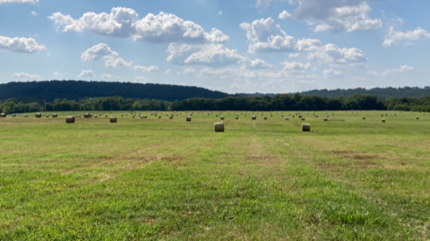 Green field with hay bales and blue cloudy skies