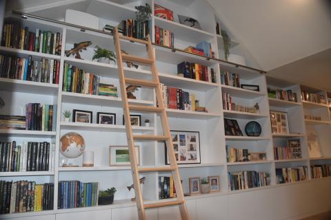 White bookshelves full of books