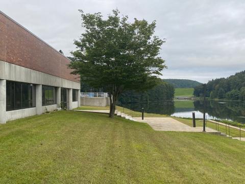 Municipal building front lawn with tree