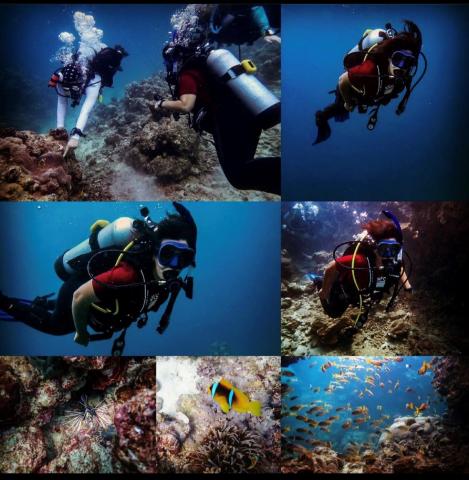 Mala Alahmadi diving