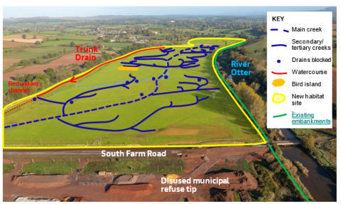 Central part of site Lower Otter Restoration Project