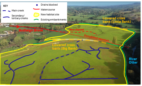 Northern part of site Lower Otter Restoration Project