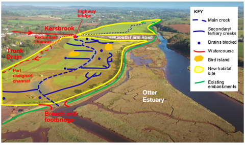 Southern part of site Lower Otter Restoration Project