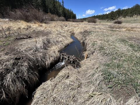 Denver Water