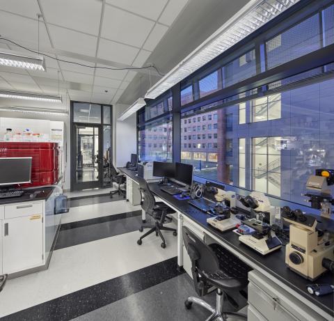 Food &amp; Drug Administration HQ