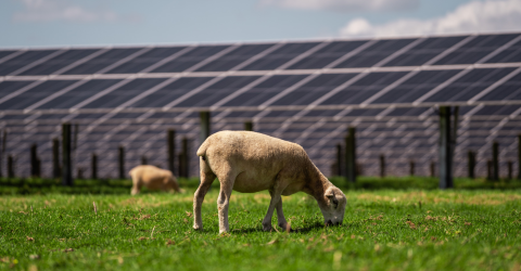 Lodestone Energy Solar Farm
