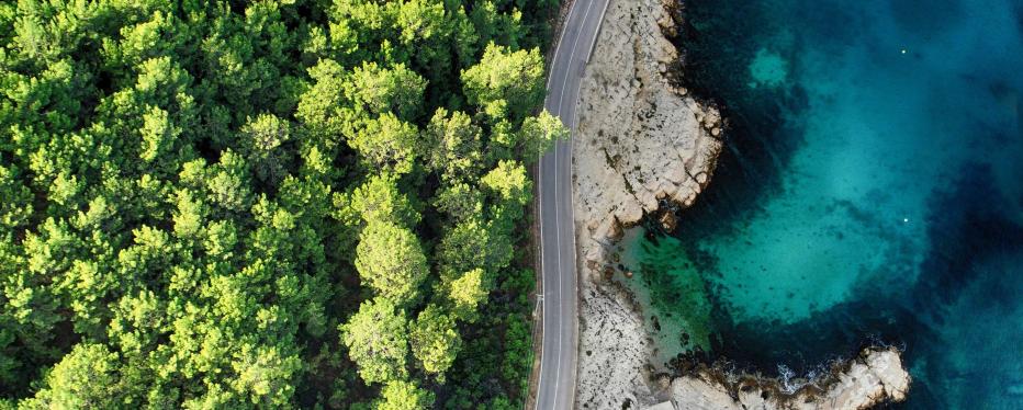 Aerial view of a road cutting in between green trees and bright aqua body of water