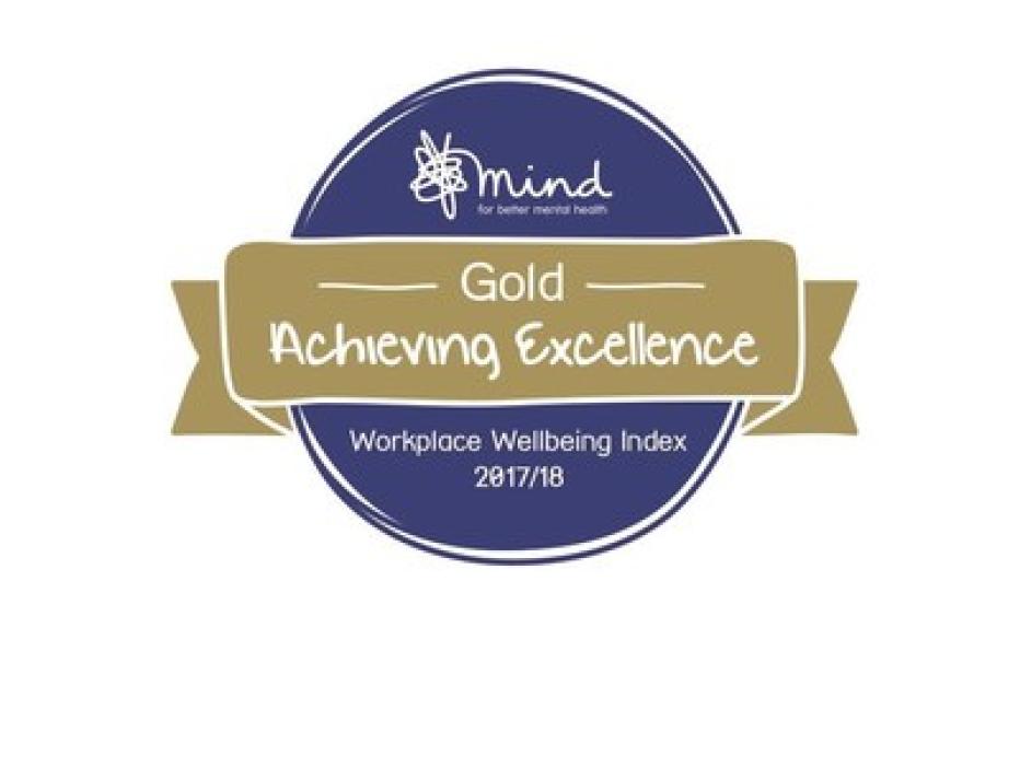Mind Gold Achieving Excellence Workplace Wellbeing Index 2017-18