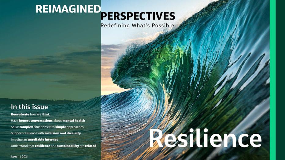 Reimagined Perspectives: Resilience