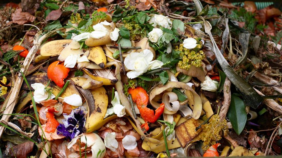 Composting stock image