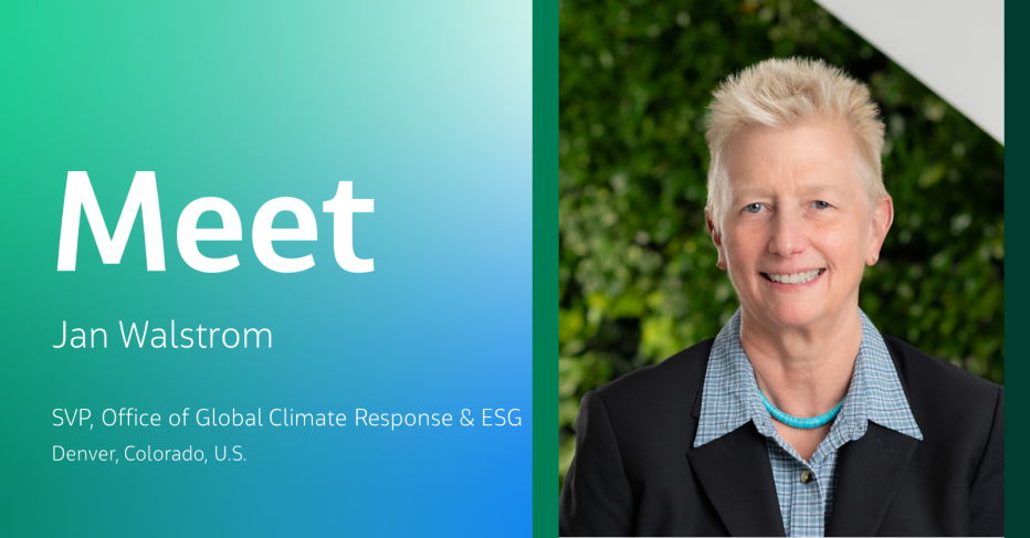 Meet Jan Walstrom