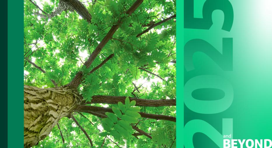 Looking up a tree trunk to green canopy, with 2025 and beyond banner