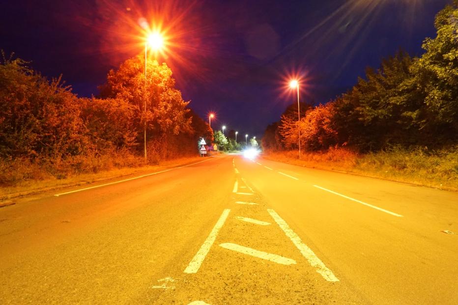 Road with bat-friendly red street lighting