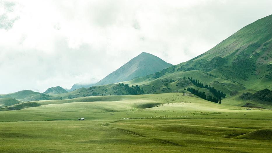 Green mountains