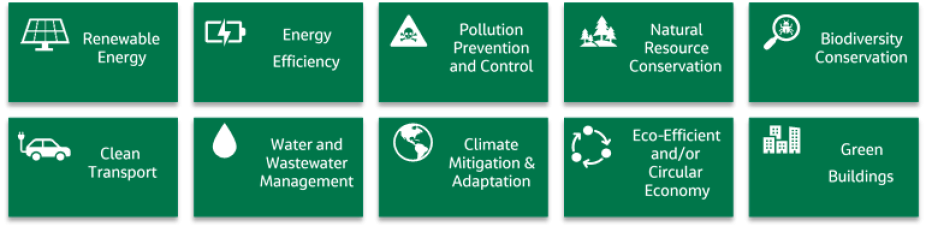 Renewable energy, energy efficiency, pollution prevention and control, natural resource conservation, biodiversity conservation, clean transport, water and wastewater management, climate mitigation and adaptation, eco-efficient and/or circular economy, green buildings