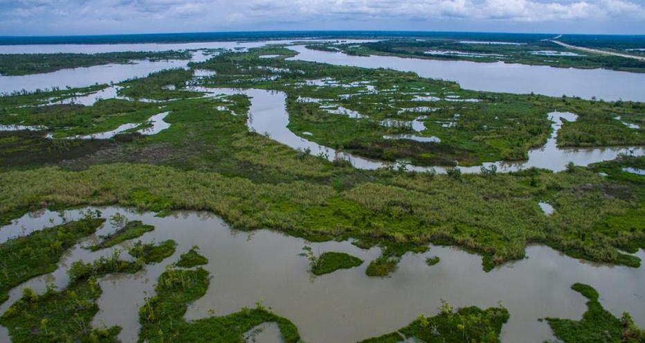 Louisiana bayou