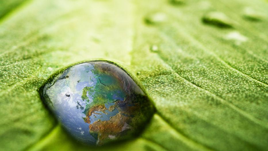 Water droplet on a leaf with world reflection inside the water droplet