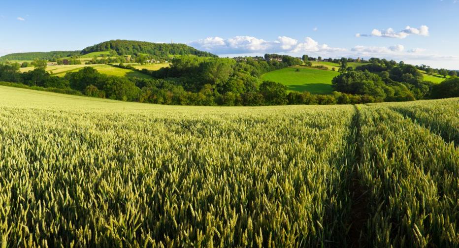 UK Water Net Zero