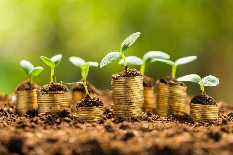 coins on earth with shoots growing out the top