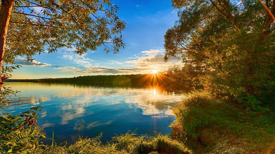 Sunrise over water surrounded by brush and trees