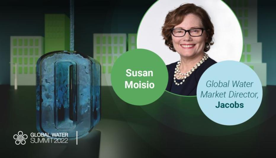 Susan Moisio headshot with Global Water Summit banner