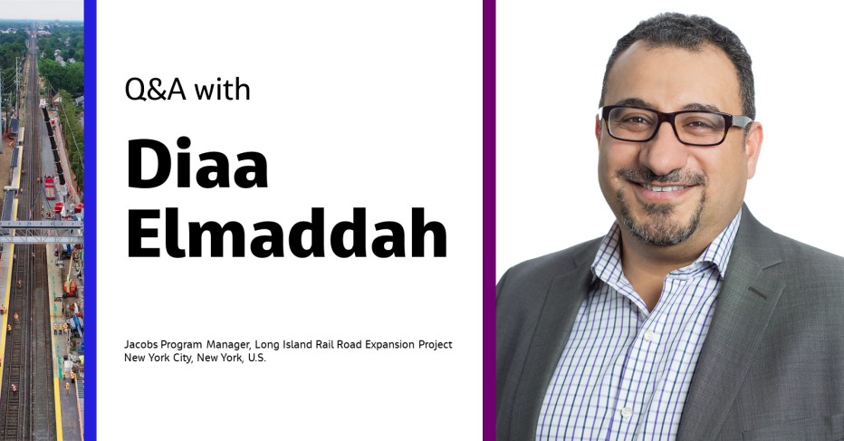 Q&amp;A with Diaa Elmaddah