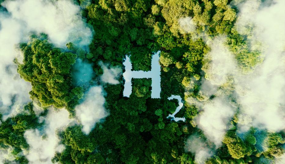 Arial view of the top of a forest with clouds above trees. H2 shaped into tree gaps