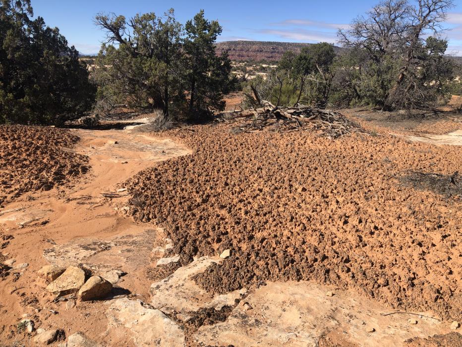 Providing rehabilitation and improvements along the main road of the Natural Bridges National Monument