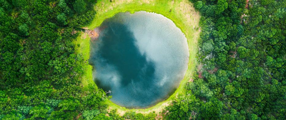 Circular pool of water surrounded by trees