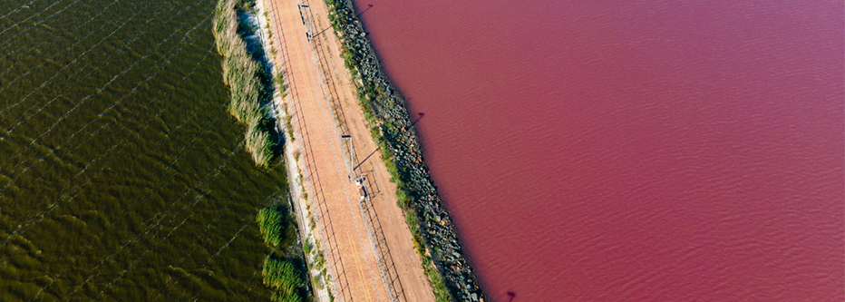 pink lake sasik sivash divided by a road in summer