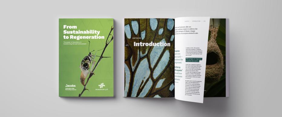 biomimicry paper document mockup