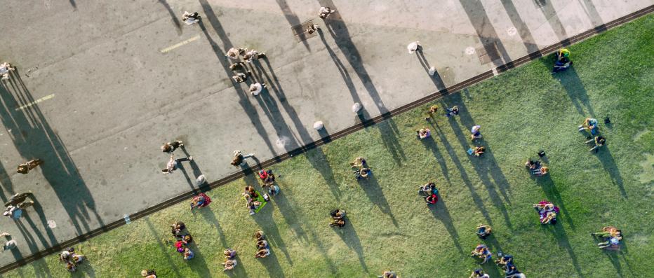 Aerial view of people on grass and pavement