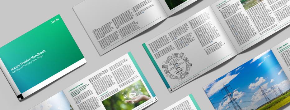 Nature Positive Handbook Preview